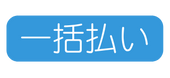一括払い